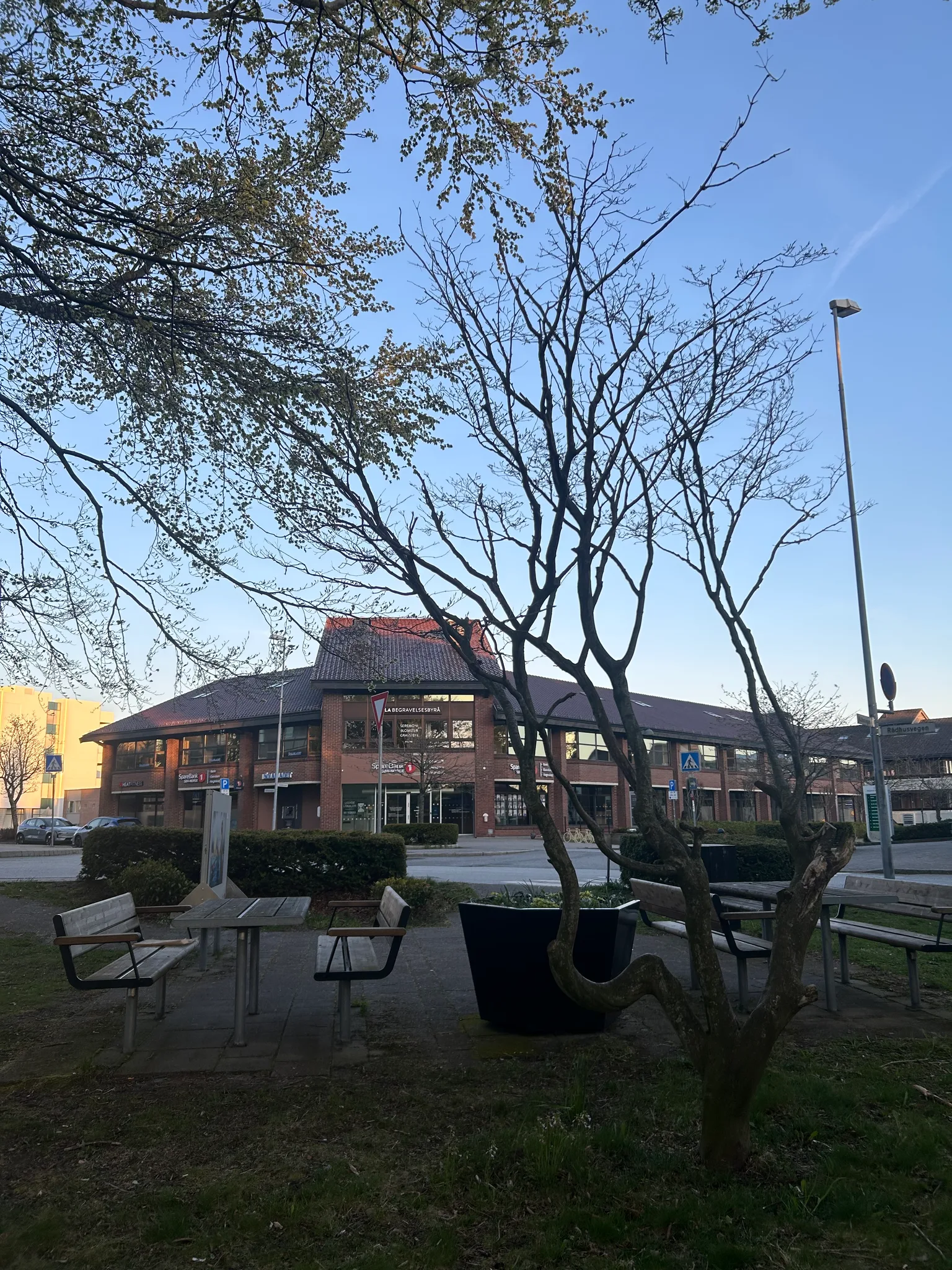 the view from the bench (day)