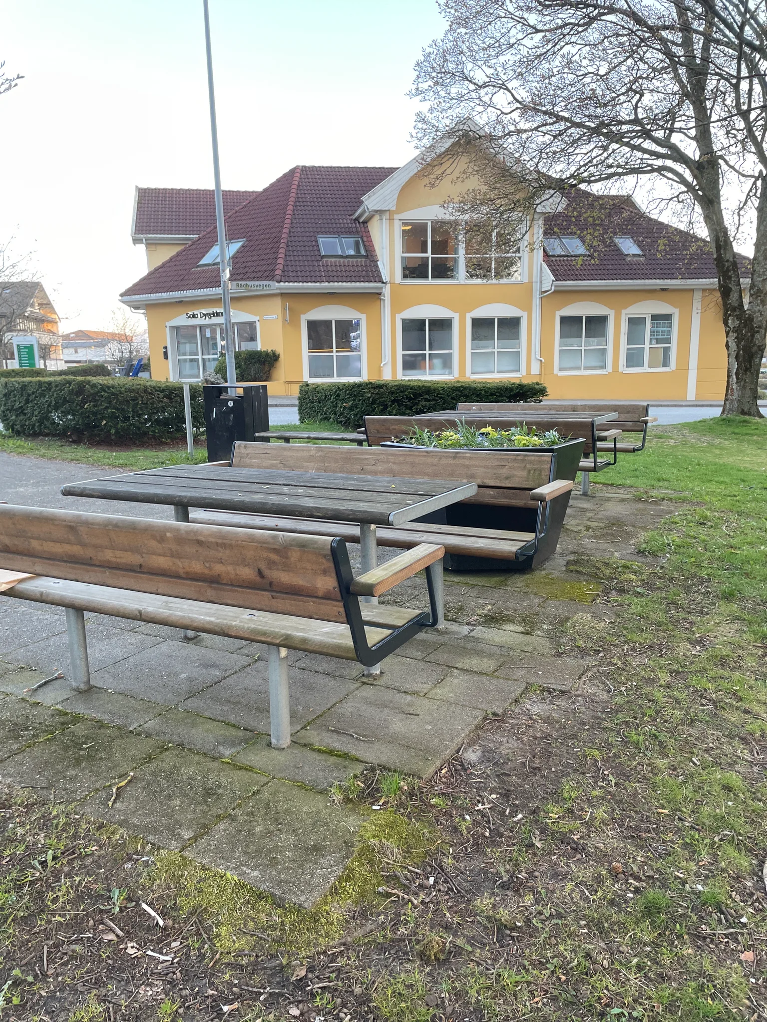 Bench photo