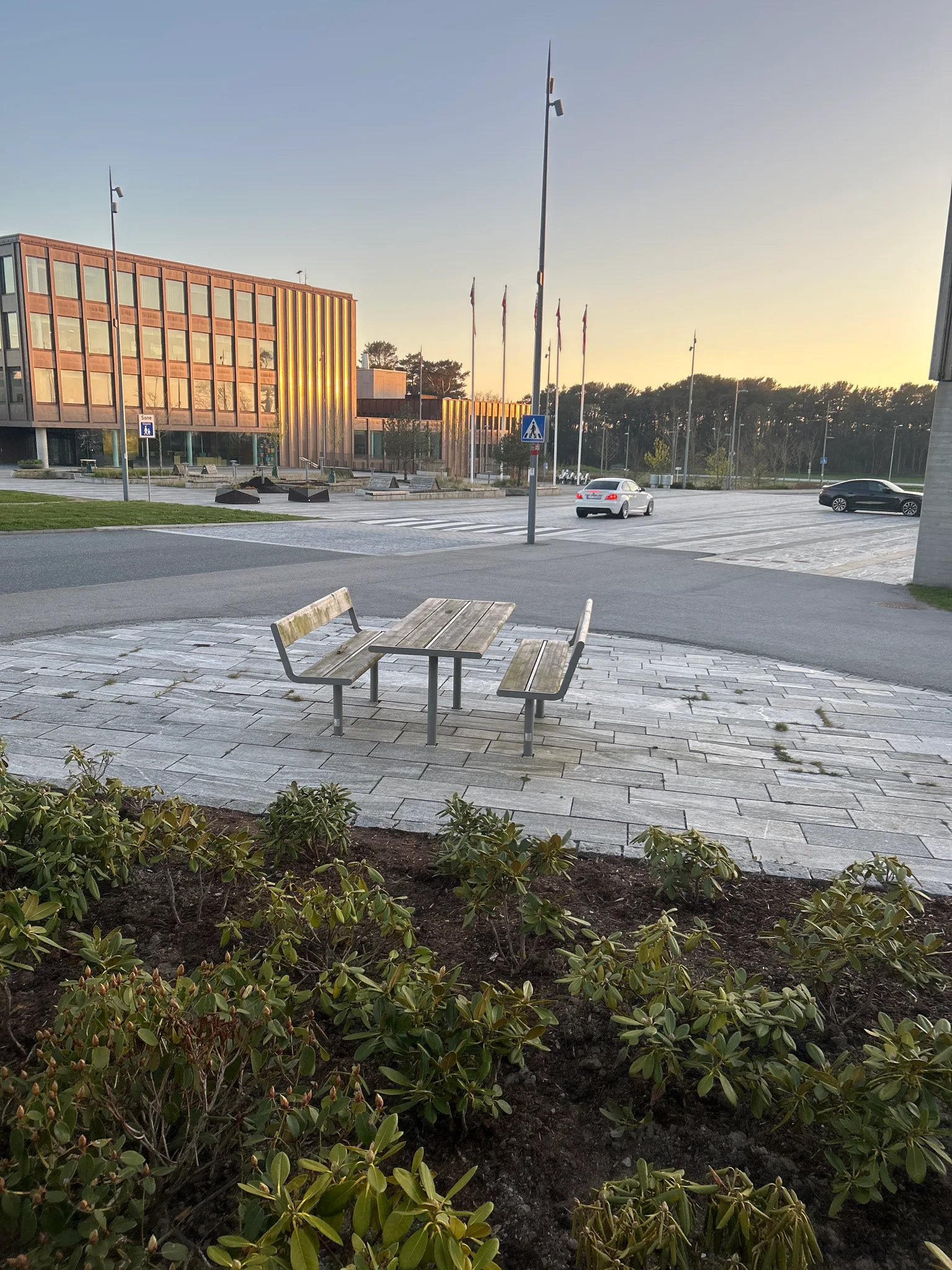the view from the bench (day)