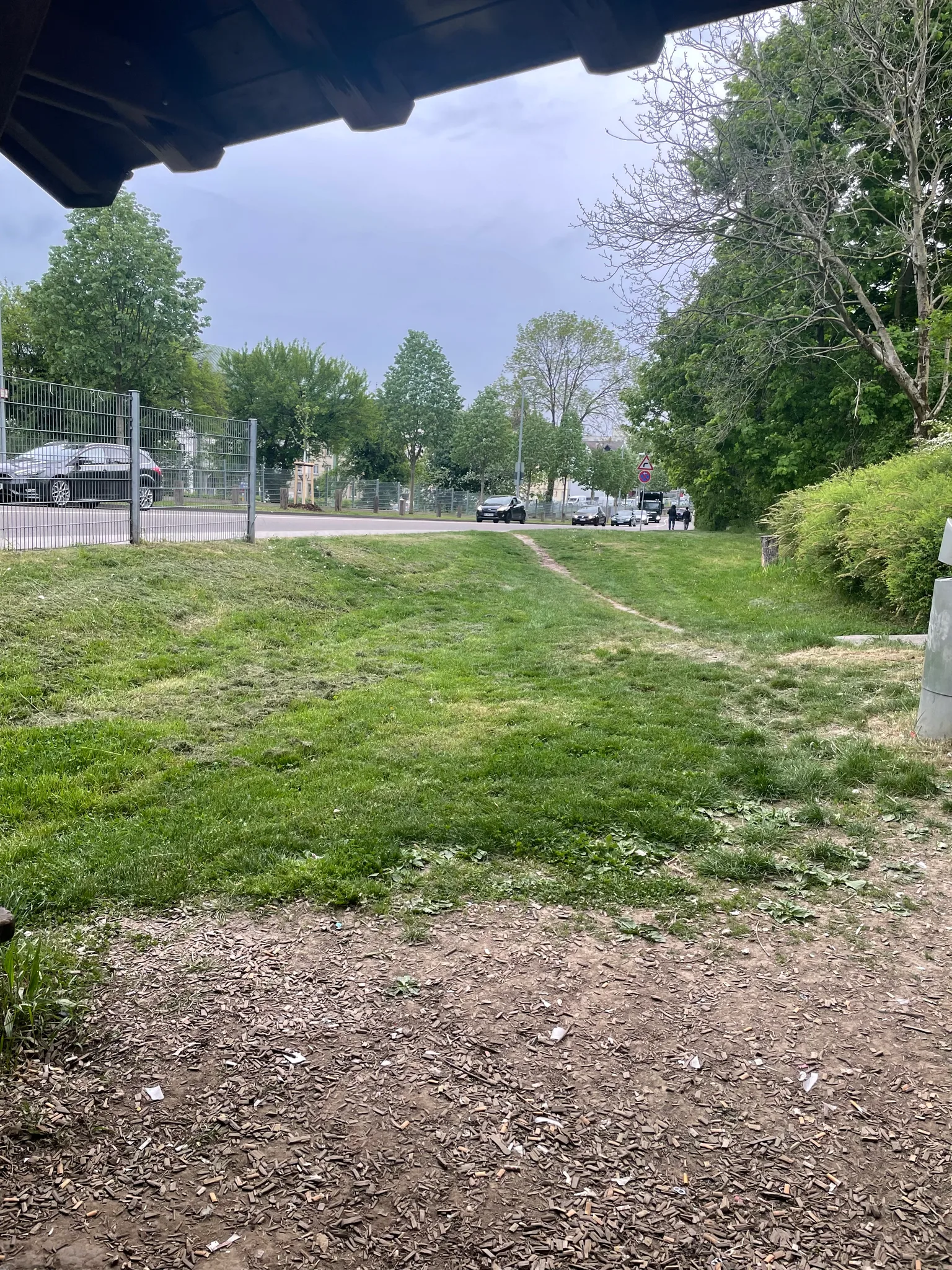 the view from the bench (day)