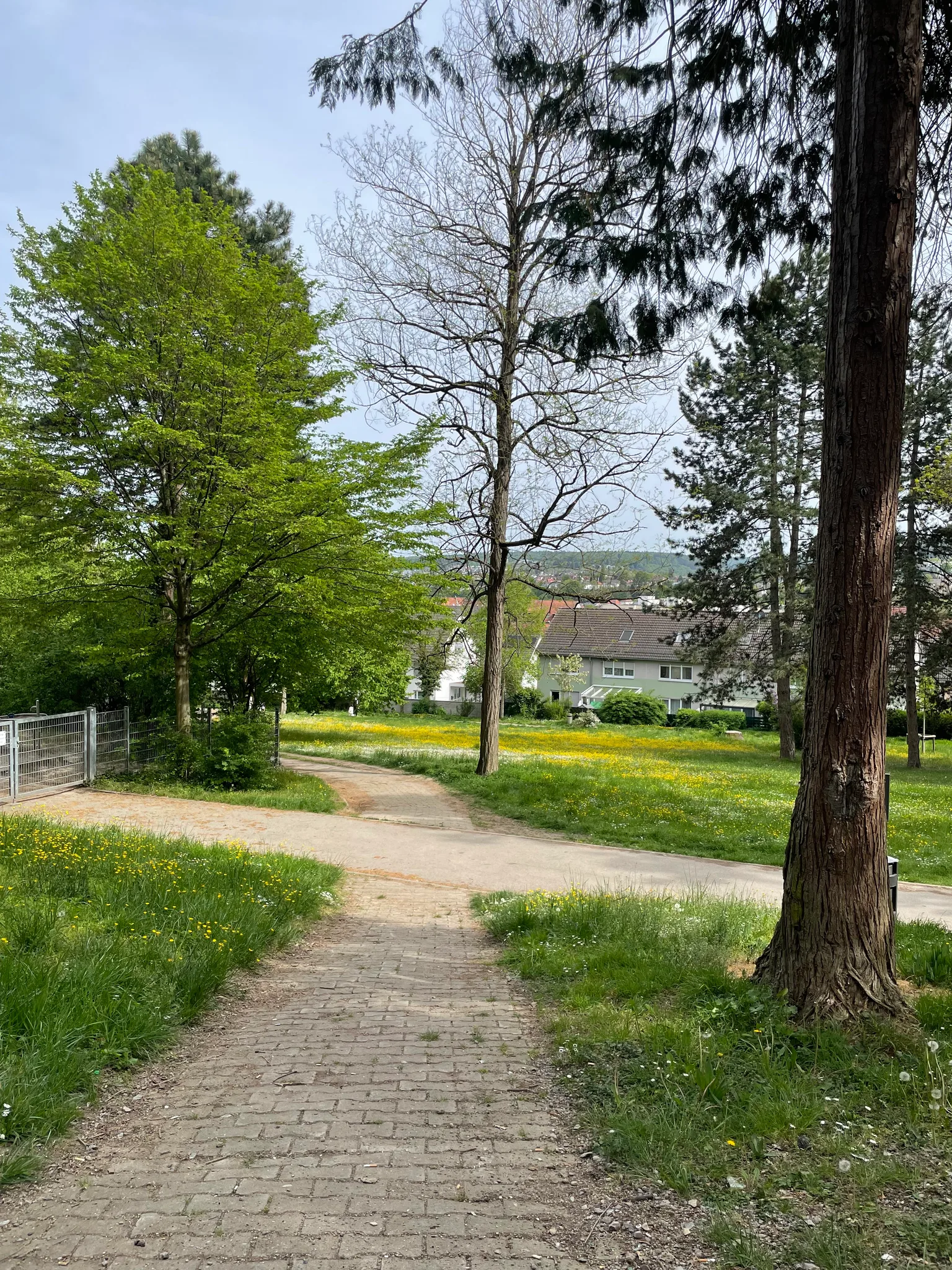 the view from the bench (day)