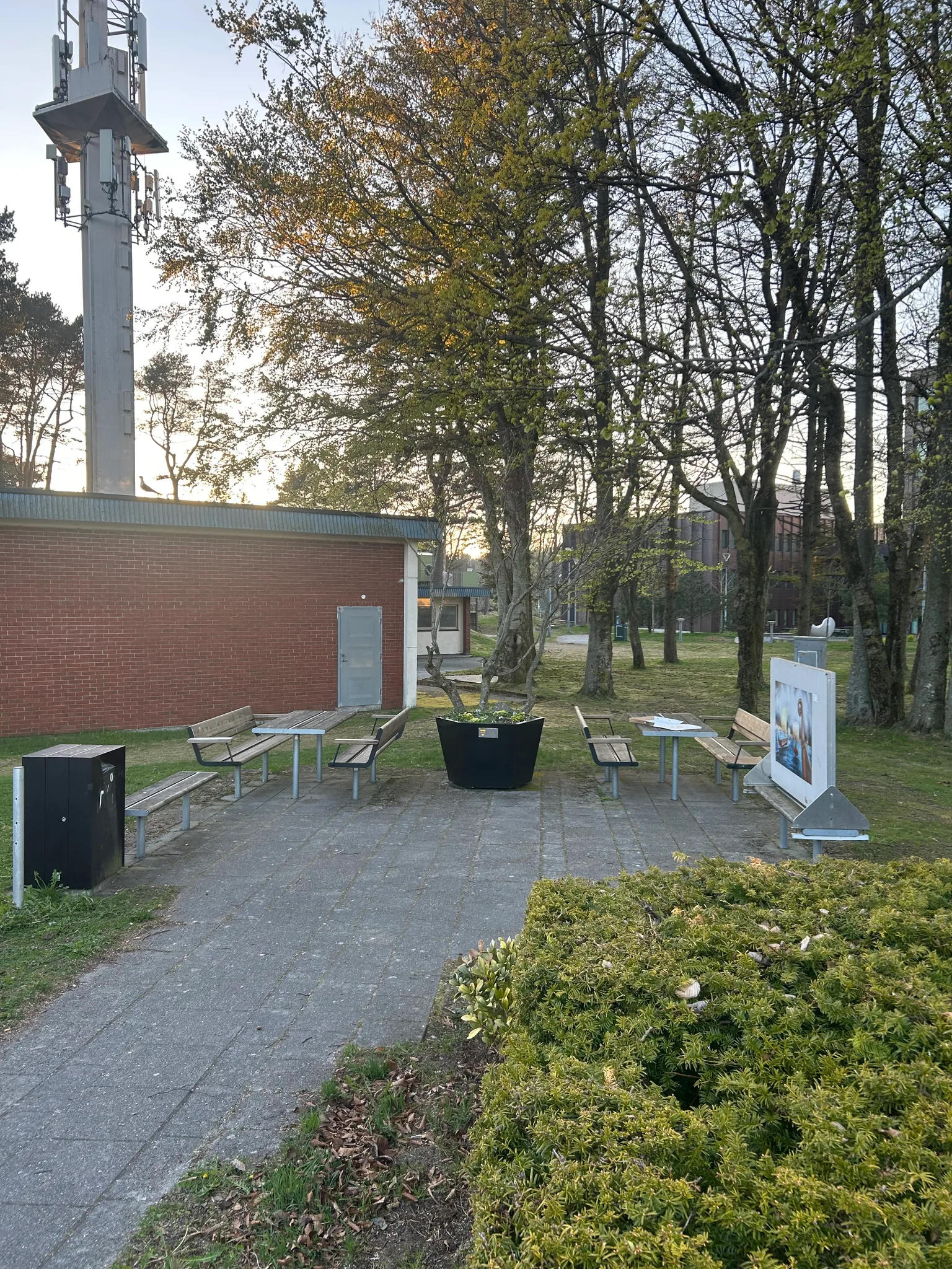 Bench: A bench in center of town.
