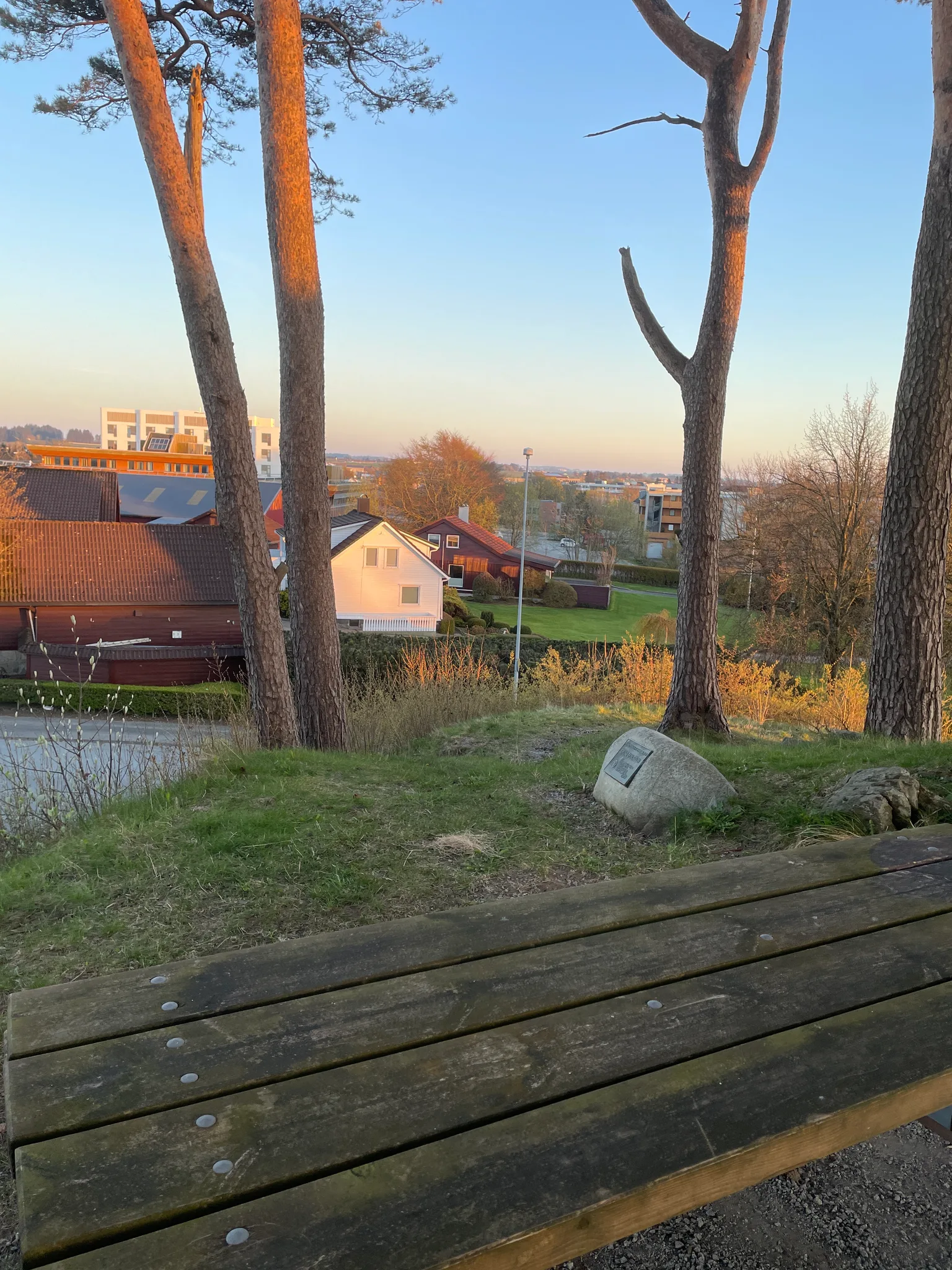 the view from the bench (day)