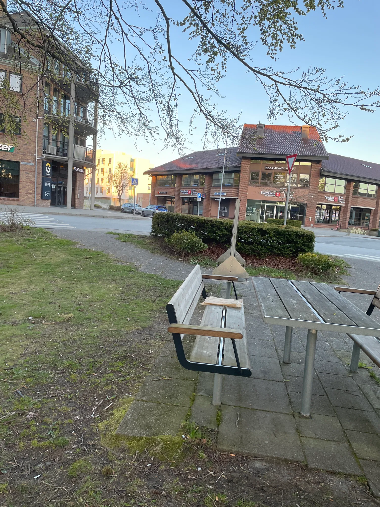 the view from the bench (day)