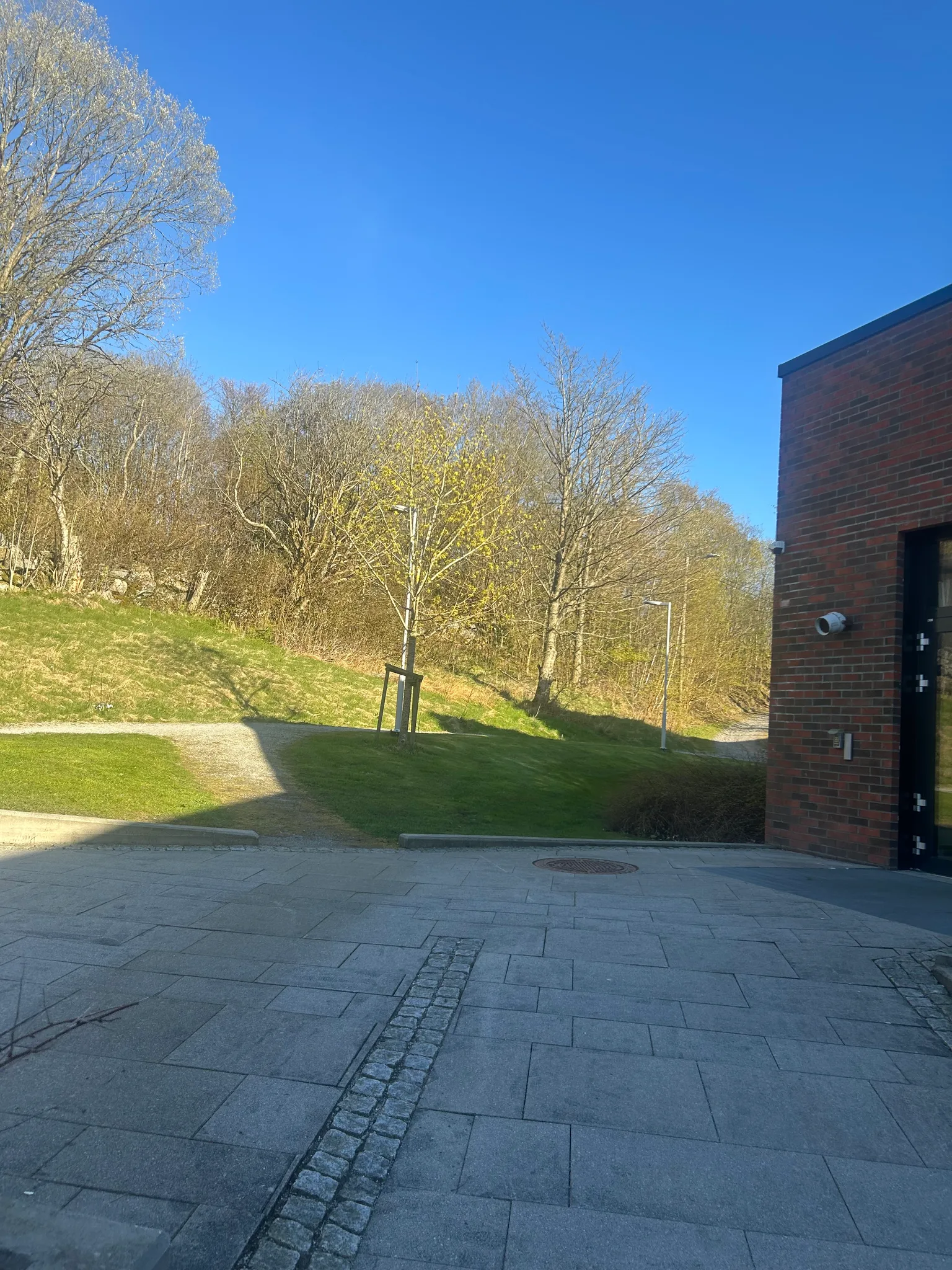 the view from the bench (day)
